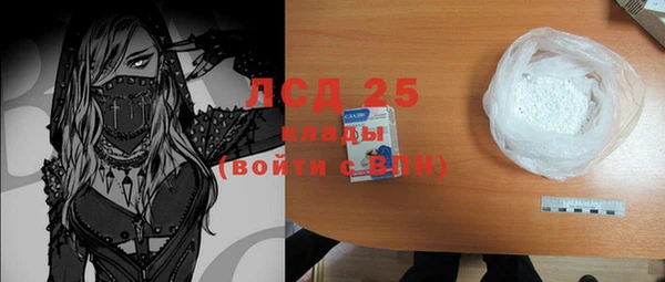 ПСИЛОЦИБИНОВЫЕ ГРИБЫ Вязники
